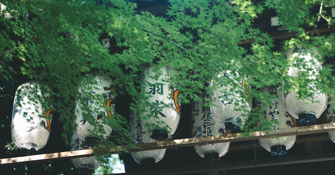 Dv188 Slot Dana: Strategi Menang dan Keunggulannya