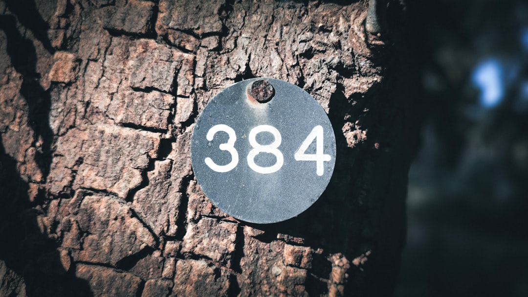 Dv188 Slot Dana: Inovasi dalam Dunia Permainan Slot Online